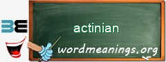 WordMeaning blackboard for actinian